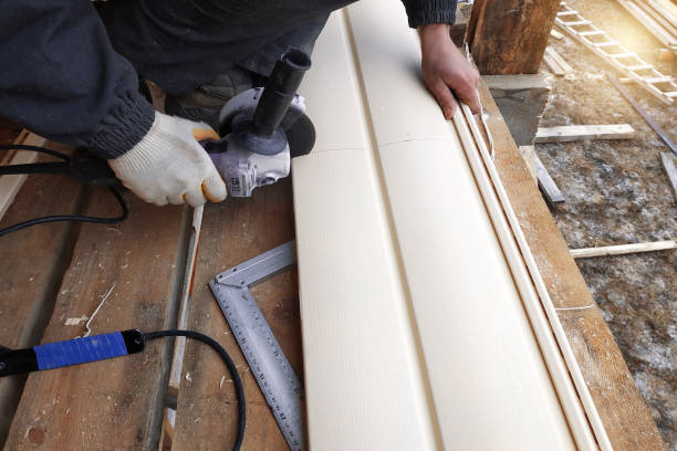 Best Siding Painting and Refinishing  in Oceana, WV