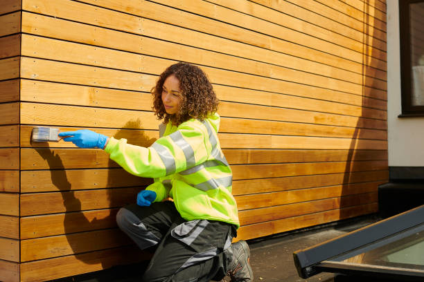 Best Stone Veneer Siding  in Oceana, WV